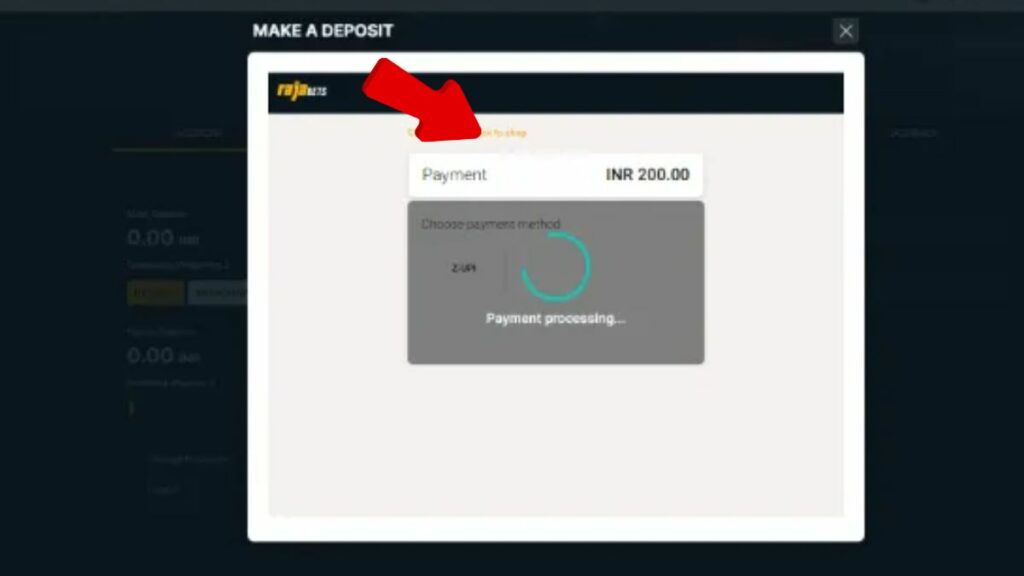 Transaction page of Rajabets