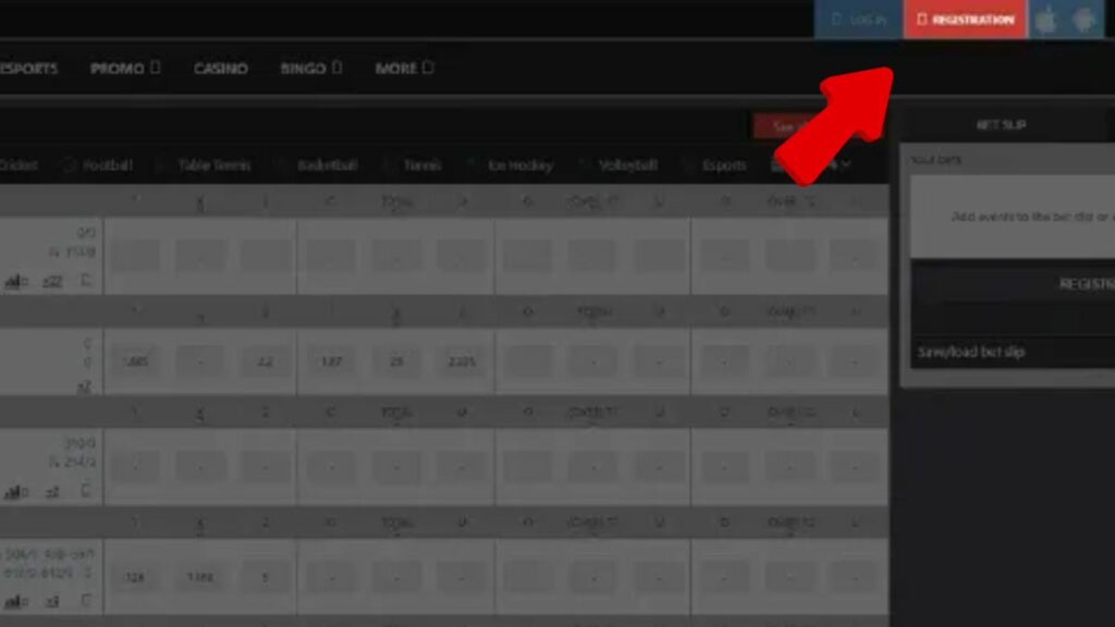 Register button in Megapari