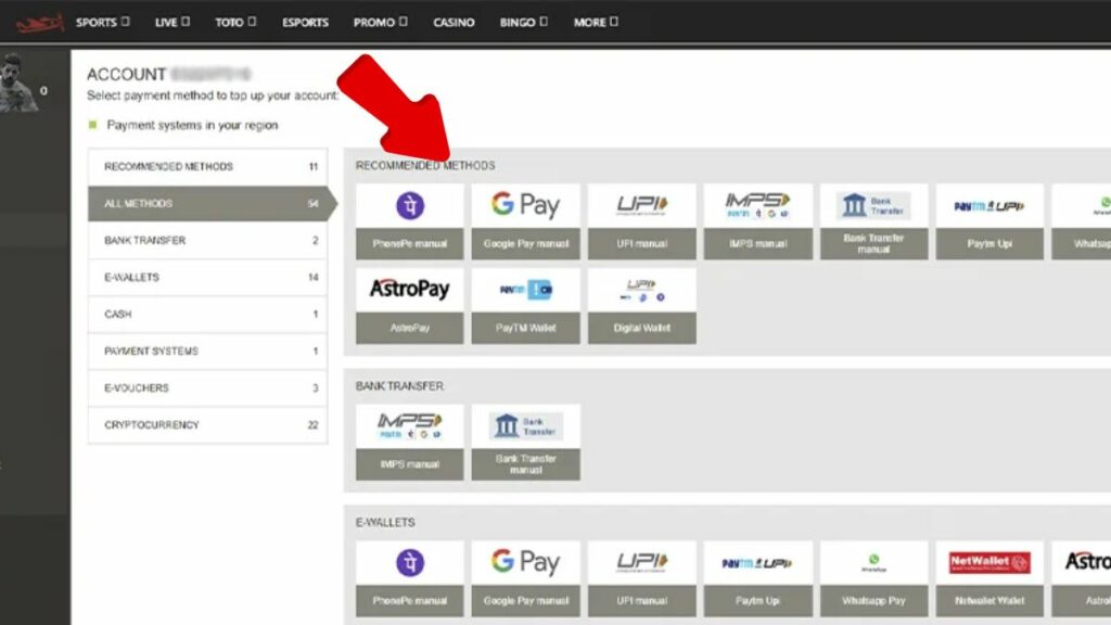 Payment options