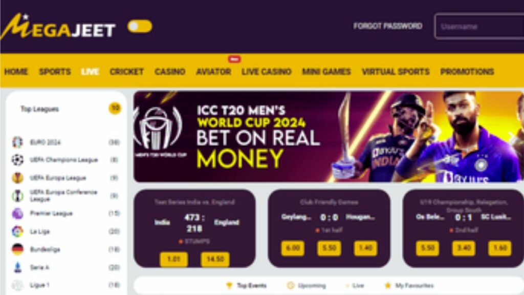 Megajeet home page