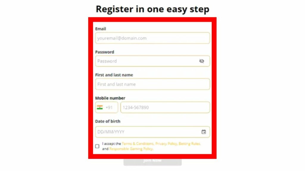 Fill the registration form
