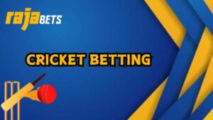 Cricket betting at Rajabets