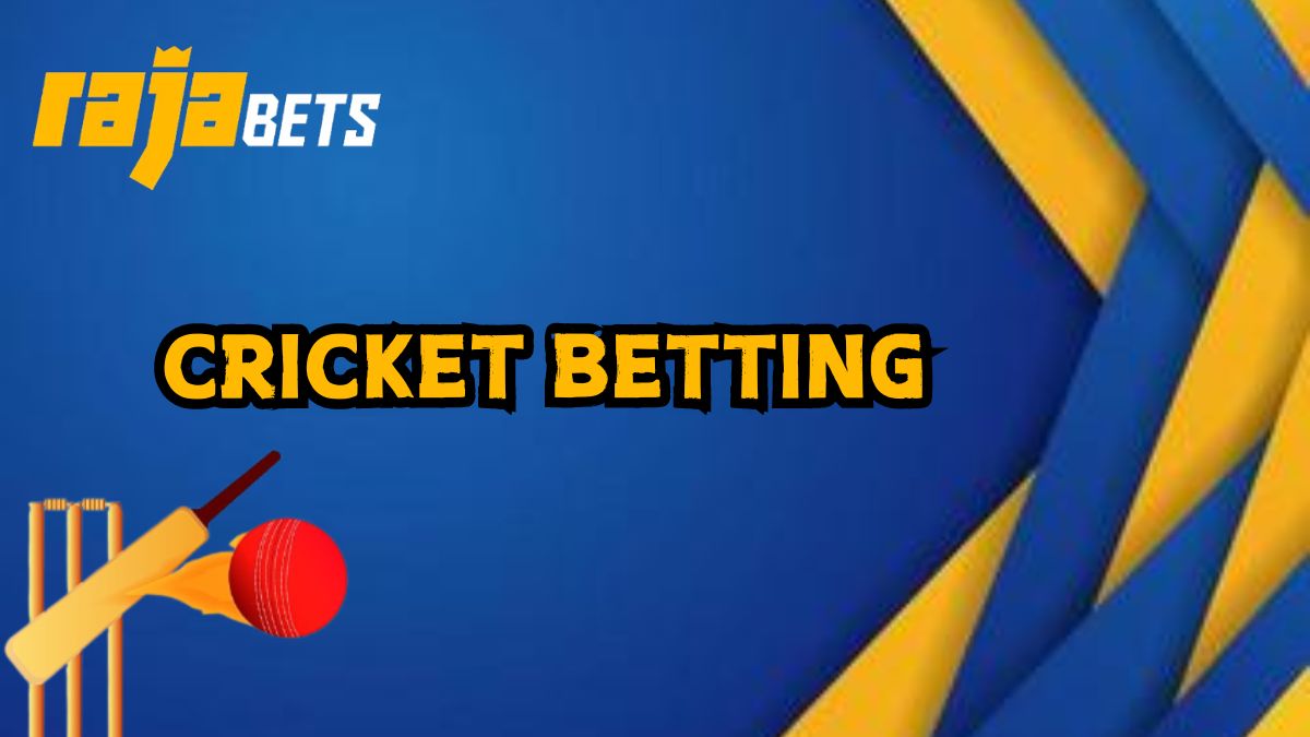 Cricket betting at Rajabets