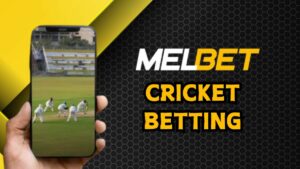 Melbet cricket betting