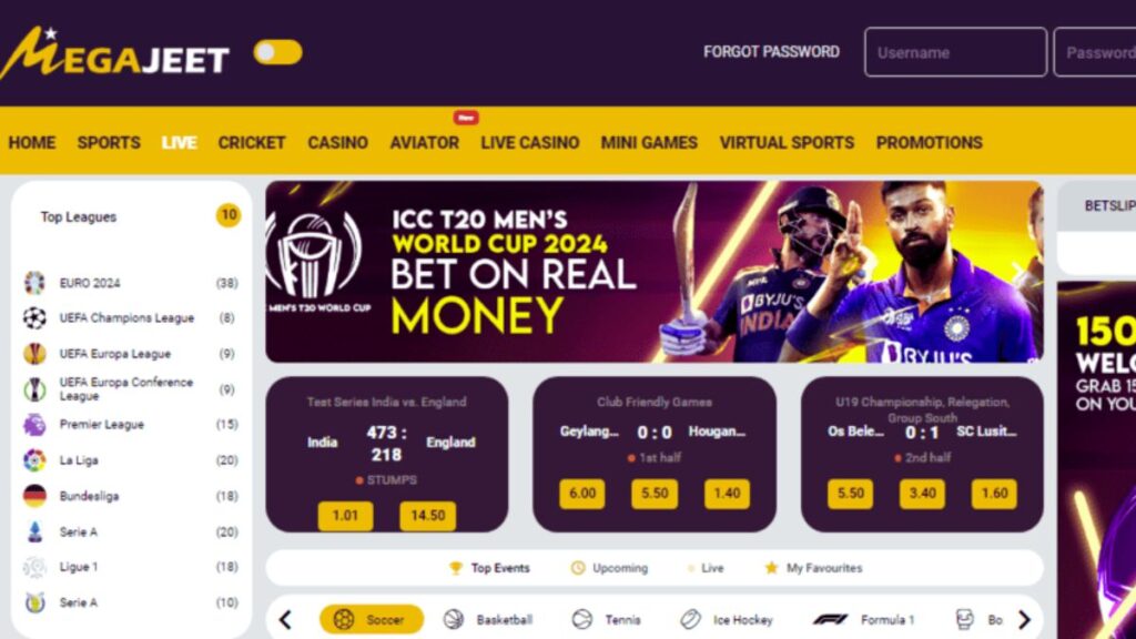 Cricket betting on Megajeet