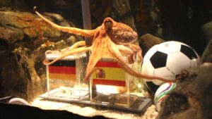 FIFA World Cup